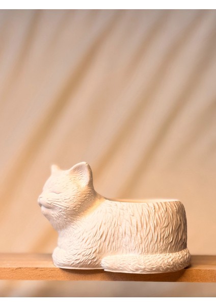 Kedicik Seramik Saksı | Boyanabilir El Yapımı Beton Tozu Obje fiyatları