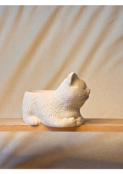 Kedicik Seramik Saksı | Boyanabilir El Yapımı Beton Tozu Obje modelleri