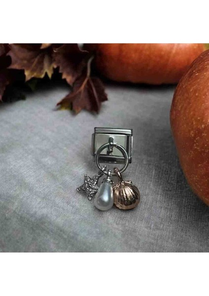 Italyan Deniz Kabuğu Inci Yıldız Detaylı Çelik Charm fiyatları