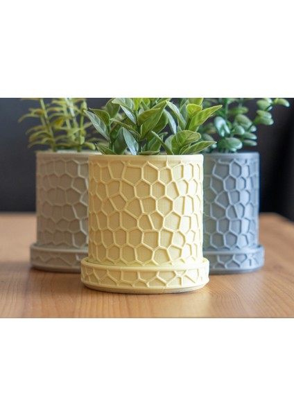 Bal Peteği Desenli Modern Saksı