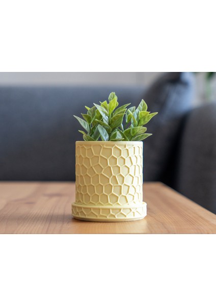 Bal Peteği Desenli Modern Saksı fiyatları