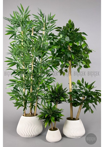 Yapay Bambu Ağacı 160CM + 125CM Benjamin Ağacı Yoğun Yapraklı+Mını Bambu