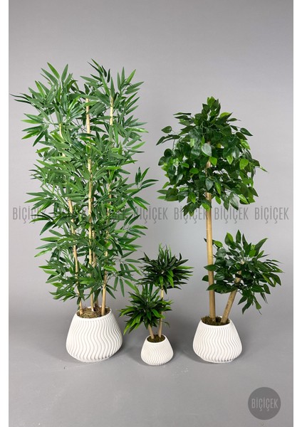 Yapay Bambu Ağacı 160CM + 125CM Benjamin Ağacı Yoğun Yapraklı+Mını Bambu fırsatları