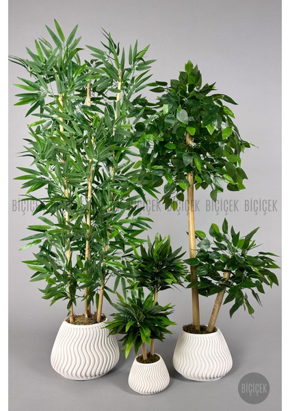 Yapay Bambu Ağacı 160CM + 125CM Benjamin Ağacı Yoğun Yapraklı+Mını Bambu
