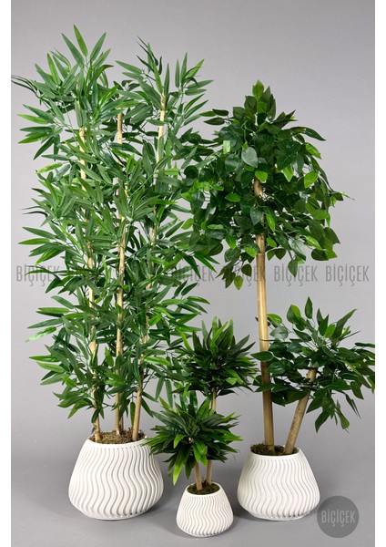 Yapay Bambu Ağacı 160CM + 125CM Benjamin Ağacı Yoğun Yapraklı+Mını Bambu