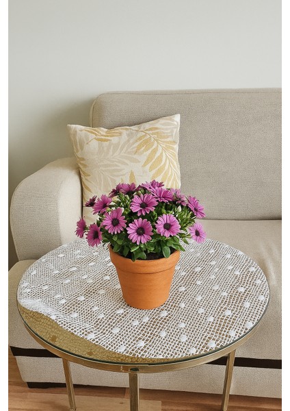 Yuvarlak Pvc Dantelli Sehpa Örtüsü Çeyizlik Kaliteli Lüx Dekoratif Masa Örtüsü Sofra Bezi Beyaz modelleri