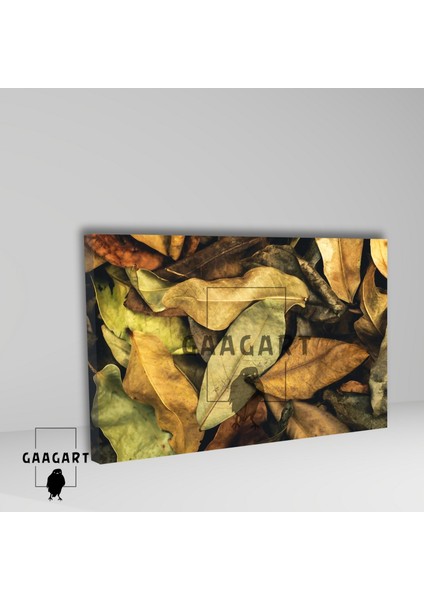 Tekli Yatay Kanvas Duvar Tablosu Kuru Yapraklar fiyatları