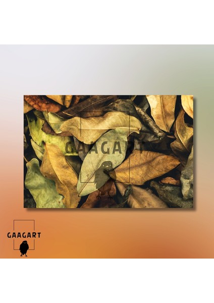 Tekli Yatay Kanvas Duvar Tablosu Kuru Yapraklar modelleri