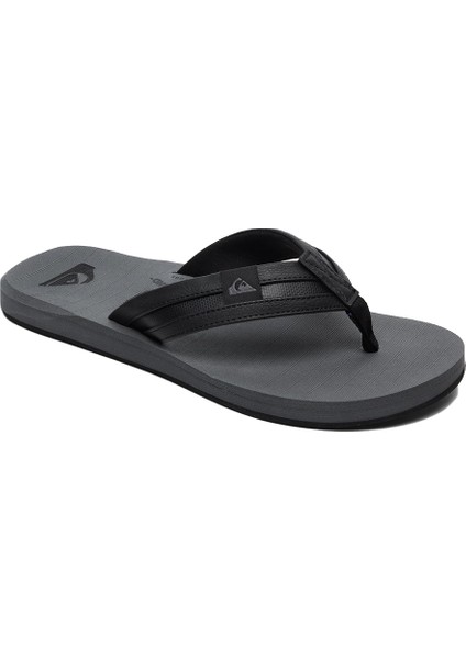 Quiksilver Carver Squish Erkek Terlik AQYL100886