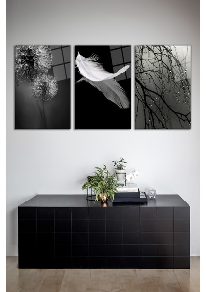 Siyah Beyaz Temalı Tüy Kombin 3'lü Cam Tablo Seti, Modern Ev Ofis Dekor, Hediyelik Duvar Dekorasyon
