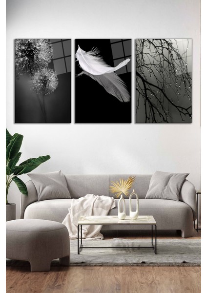 Siyah Beyaz Temalı Tüy Kombin 3'lü Cam Tablo Seti, Modern Ev Ofis Dekor, Hediyelik Duvar Dekorasyon fiyatları