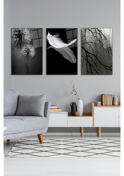 Siyah Beyaz Temalı Tüy Kombin 3'lü Cam Tablo Seti, Modern Ev Ofis Dekor, Hediyelik Duvar Dekorasyon modelleri