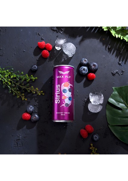 Sirius Enerji Içeceği 250 ml 12 Adet fırsatları