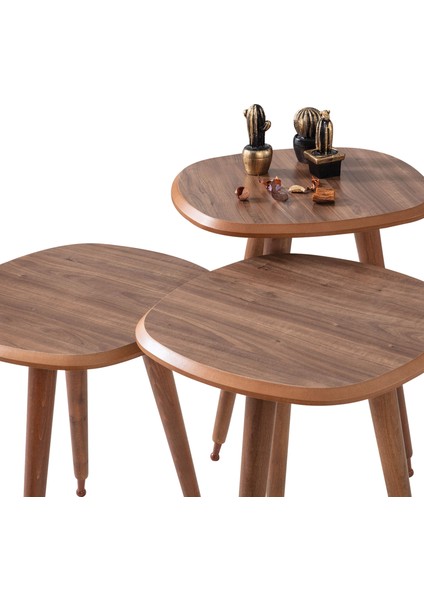 Ahşap 3'lü Yuvarlak Zigon Sehpa Ceviz Lüx Ayaklı B7 modelleri