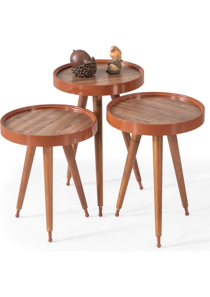 Ahşap 3'lü Yuvarlak Zigon Sehpa Ceviz Polen Lüx Ayaklı C6 fiyatları