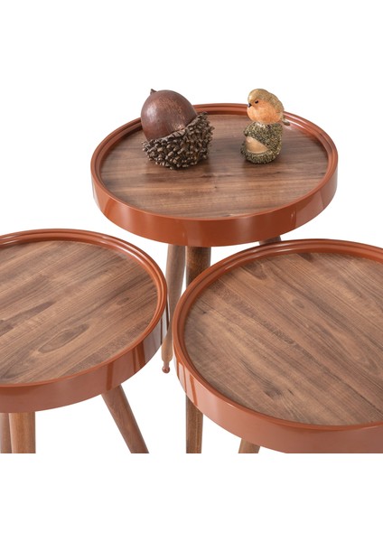 Ahşap 3'lü Yuvarlak Zigon Sehpa Ceviz Polen Lüx Ayaklı C6 modelleri