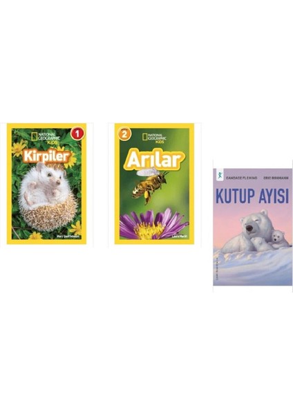 Kirpiler - Arılar - Kutup Ayısı