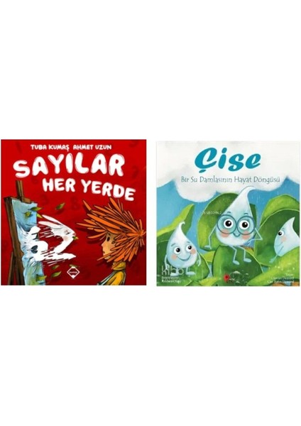 Set Sayılar Her Yerde Çişe Okuma Kitabı fiyatları