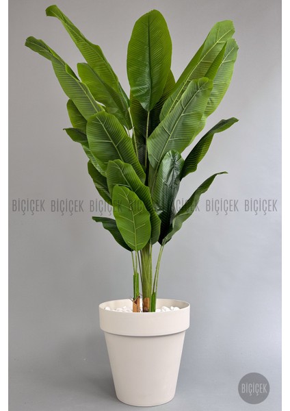 Yapay Ağaç Starliçe Bambu Gövdeli 220CM Büyük Boy Kırıkbeyaz Renk Yalı Saksıda fiyatları