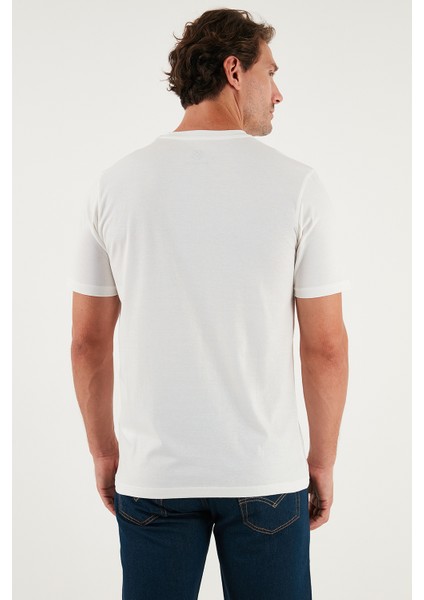 Pamuklu Regular Fit Bisiklet Yaka T Shirt Erkek T Shirt 59020204