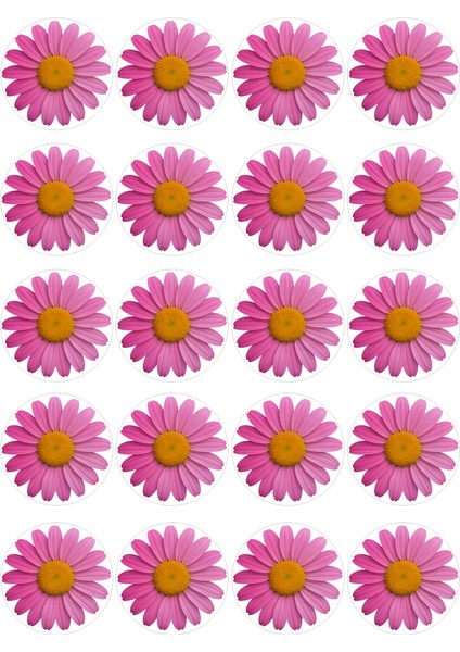 Papatya Yenilebilir Yuvarlak Kurabiye Resim Baskı