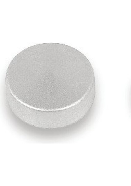 10 Adet Ø 16 mm Metal Vida Başı, Vida Kapağı (8-6114-10)