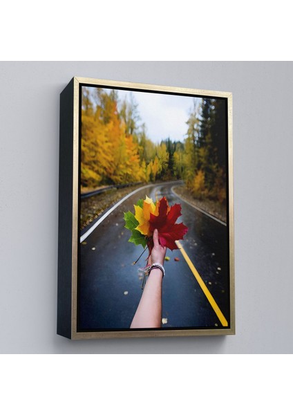 Beyaz Çerçeveli Sonbaharın Renkli Yaprakları ve Yol Manzarası Duvar Tablosu modelleri