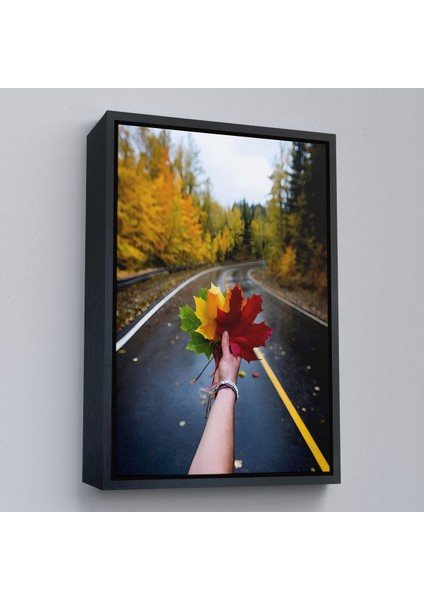 Beyaz Çerçeveli Sonbaharın Renkli Yaprakları ve Yol Manzarası Duvar Tablosu fırsatları