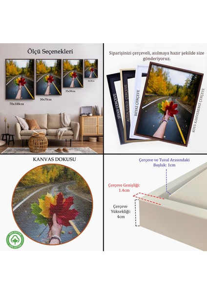 Beyaz Çerçeveli Sonbaharın Renkli Yaprakları ve Yol Manzarası Duvar Tablosu indirimleri