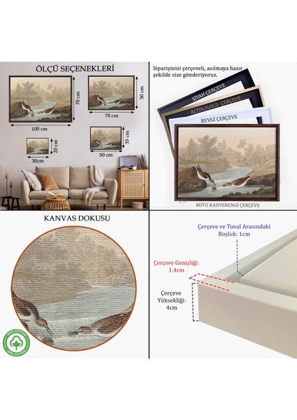 Beyaz Çerçeveli John James Audubon Küçük Çulluklar Tablosu indirimleri