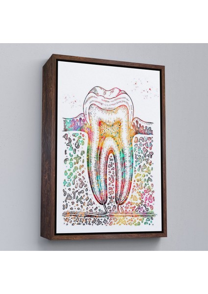 Kahverengi Çerçeveli Diş Diyagramı Tablosu