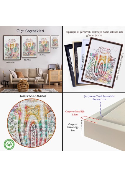Kahverengi Çerçeveli Diş Diyagramı Tablosu indirimleri
