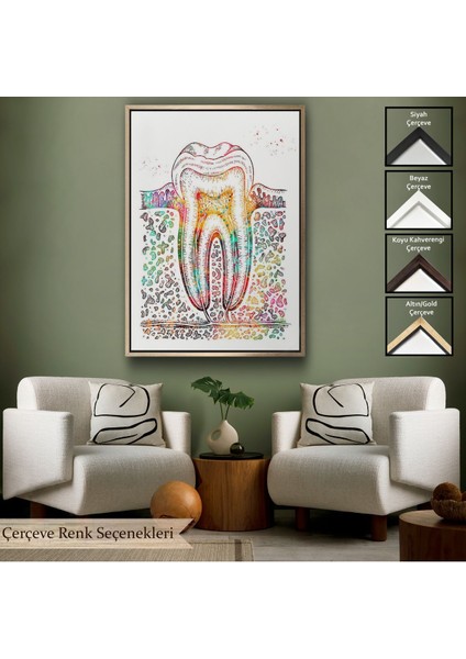 Kahverengi Çerçeveli Diş Diyagramı Tablosu