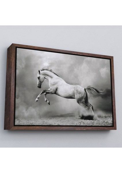 Beyaz Çerçeveli Çöldeki Beyaz At Tablosu fiyatları