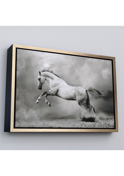 Beyaz Çerçeveli Çöldeki Beyaz At Tablosu modelleri