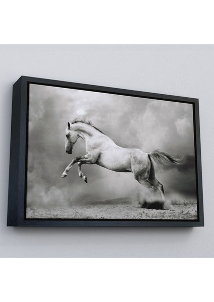 Beyaz Çerçeveli Çöldeki Beyaz At Tablosu fırsatları