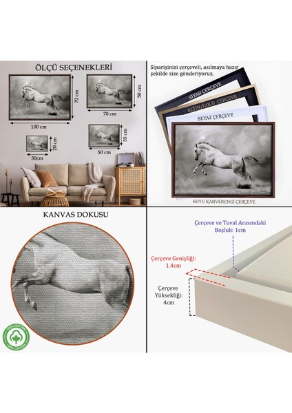 Beyaz Çerçeveli Çöldeki Beyaz At Tablosu indirimleri