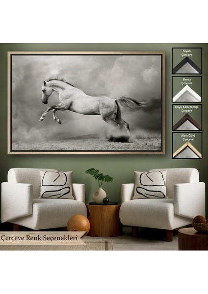 Beyaz Çerçeveli Çöldeki Beyaz At Tablosu
