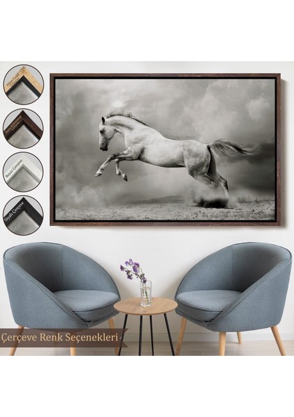 Beyaz Çerçeveli Çöldeki Beyaz At Tablosu