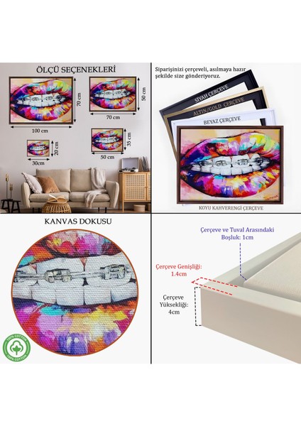 Kahverengi Çerçeveli Diş Teli ve Renkli Dudaklar Graffti Tablosu indirimleri