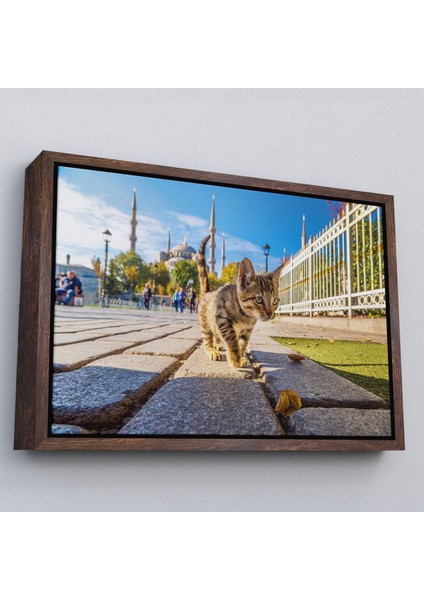 Kahverengi Çerçeveli Sultan Ahmet Camii Önündeki Yavru Kedi Tablosu