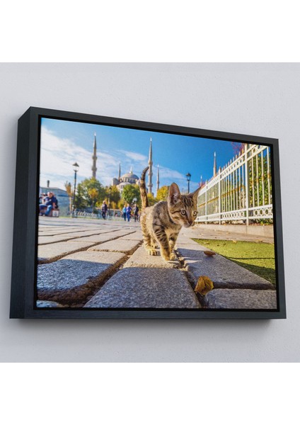 Kahverengi Çerçeveli Sultan Ahmet Camii Önündeki Yavru Kedi Tablosu modelleri