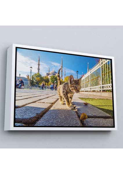 Kahverengi Çerçeveli Sultan Ahmet Camii Önündeki Yavru Kedi Tablosu fırsatları