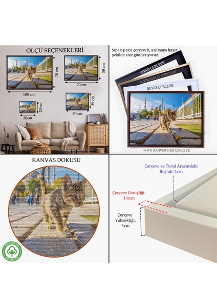 Kahverengi Çerçeveli Sultan Ahmet Camii Önündeki Yavru Kedi Tablosu indirimleri