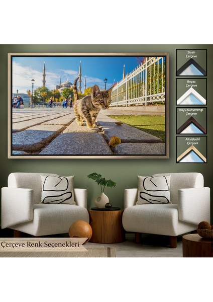 Kahverengi Çerçeveli Sultan Ahmet Camii Önündeki Yavru Kedi Tablosu