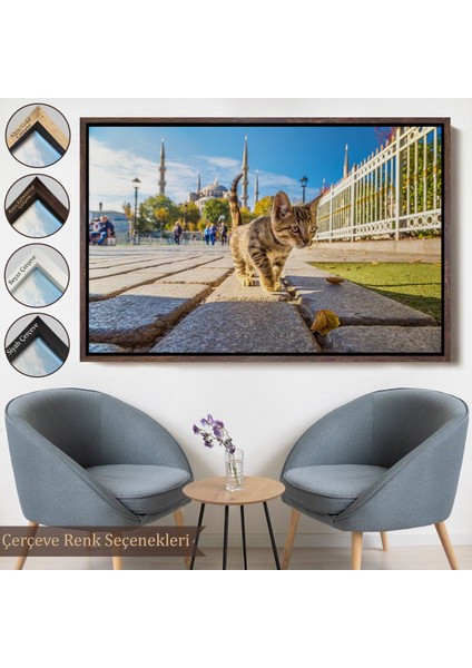 Kahverengi Çerçeveli Sultan Ahmet Camii Önündeki Yavru Kedi Tablosu