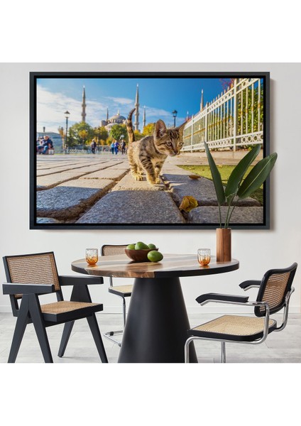 Kahverengi Çerçeveli Sultan Ahmet Camii Önündeki Yavru Kedi Tablosu