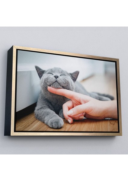 Altın Çerçeveli Sevimli Kedi Dekoratif Kanvas Tablo