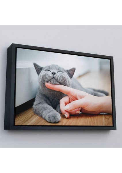 Altın Çerçeveli Sevimli Kedi Dekoratif Kanvas Tablo fiyatları