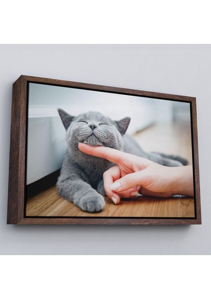 Altın Çerçeveli Sevimli Kedi Dekoratif Kanvas Tablo fırsatları
